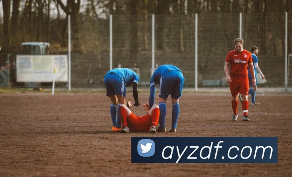 巅峰国际APP 封面图