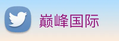 巅峰国际 logo